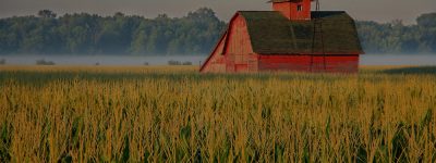 farm and crop insurance in O'Fallon STATE | DeWitt Insurance